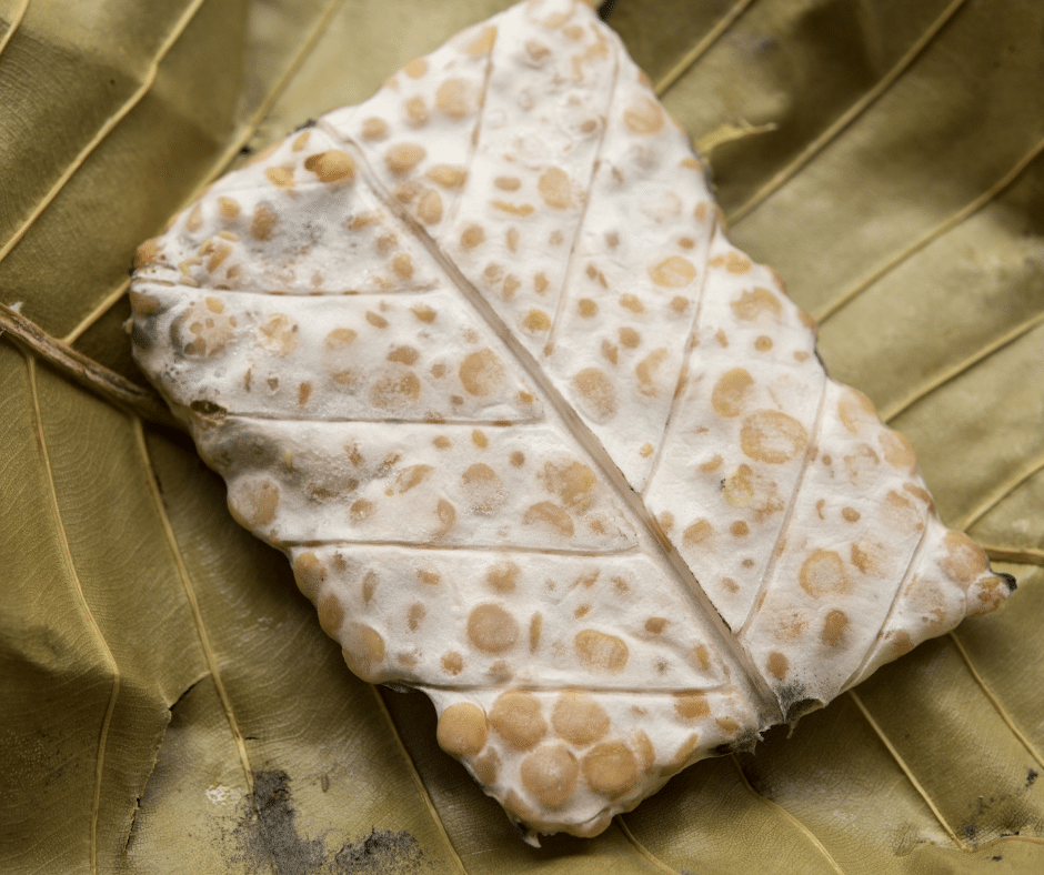 Fehler bei der Tempeh Herstellung