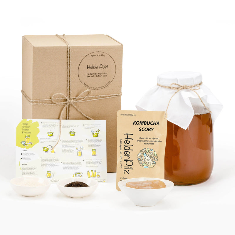 BIO Kombucha-Starterset: Vollausstattung mit Premium Scoby