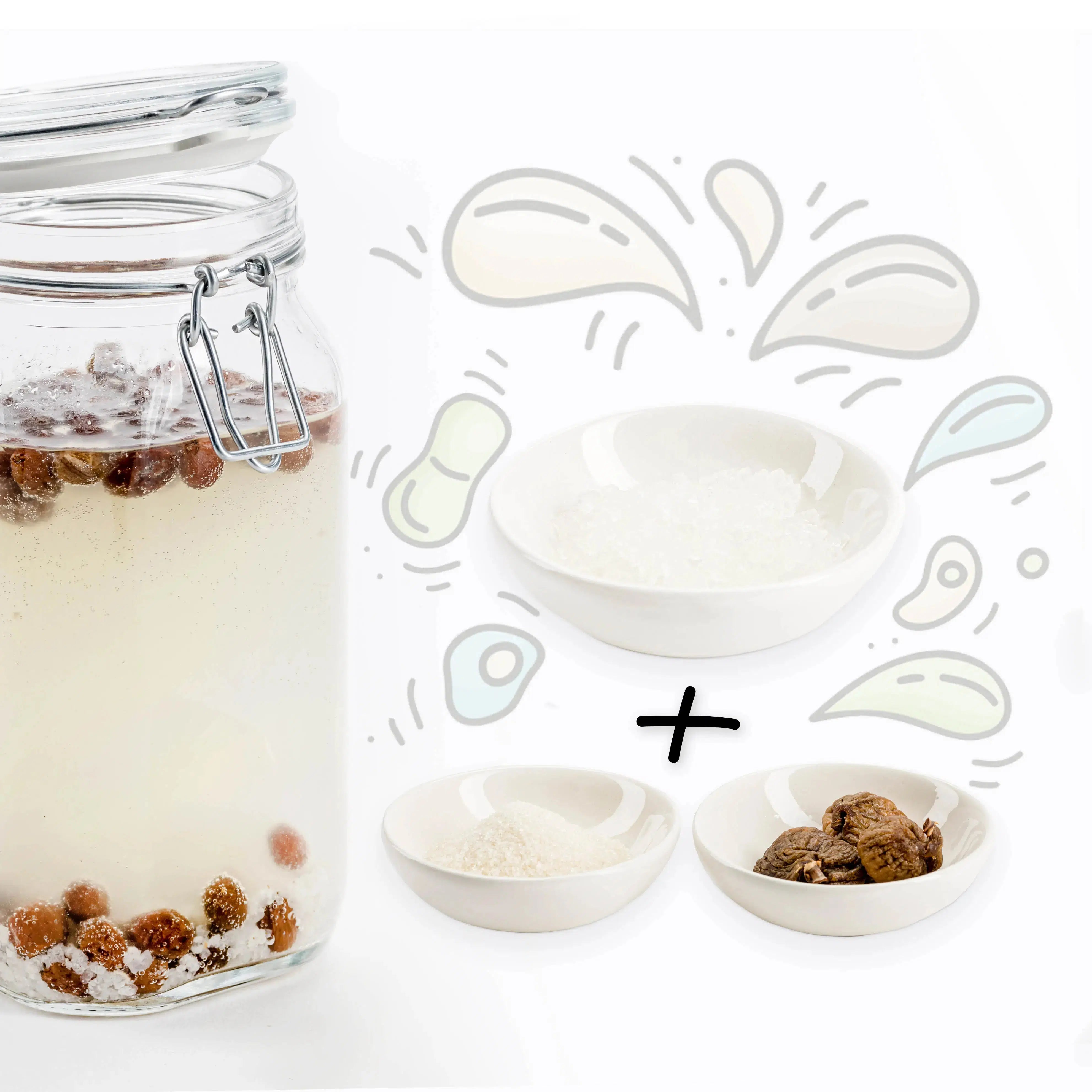 BIO Wasserkefir-Erlebnisset: Kristalle & Komplettzubehör für Einsteiger