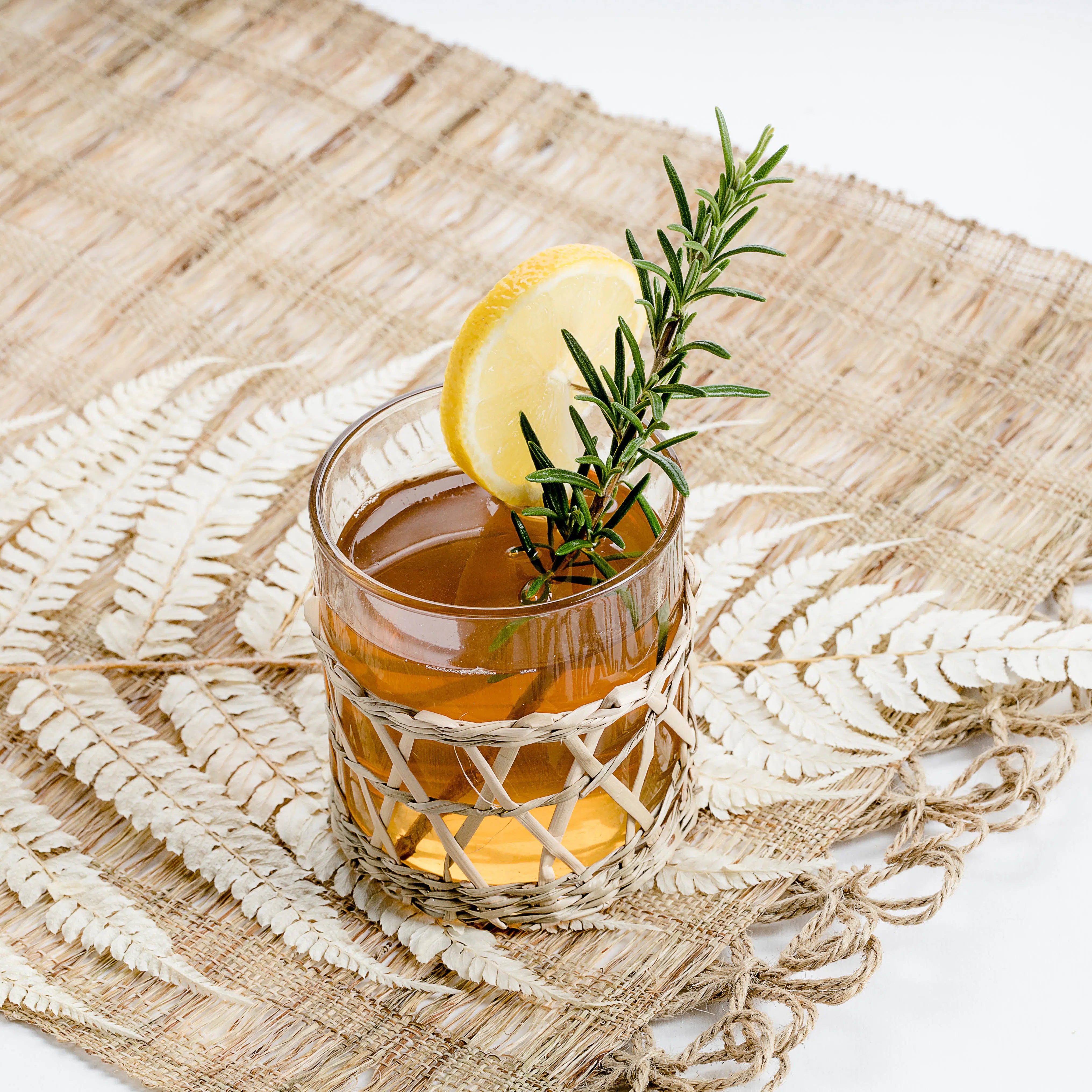 BIO Kombucha-Starterset: Vollausstattung mit Premium Scoby