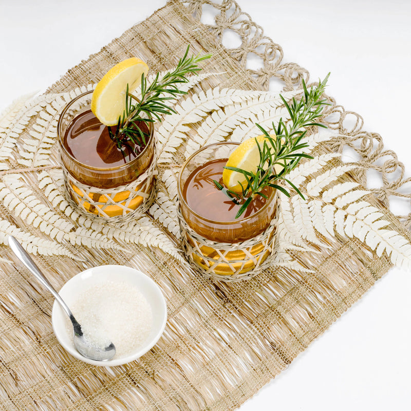 BIO Kombucha-Starterset: Vollausstattung mit Premium Scoby