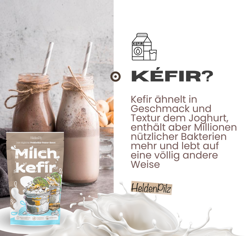 BIO Milchkefir Starterkultur – 100% lebende Kefirknollen für unendliche Milchkefir-Herstellung