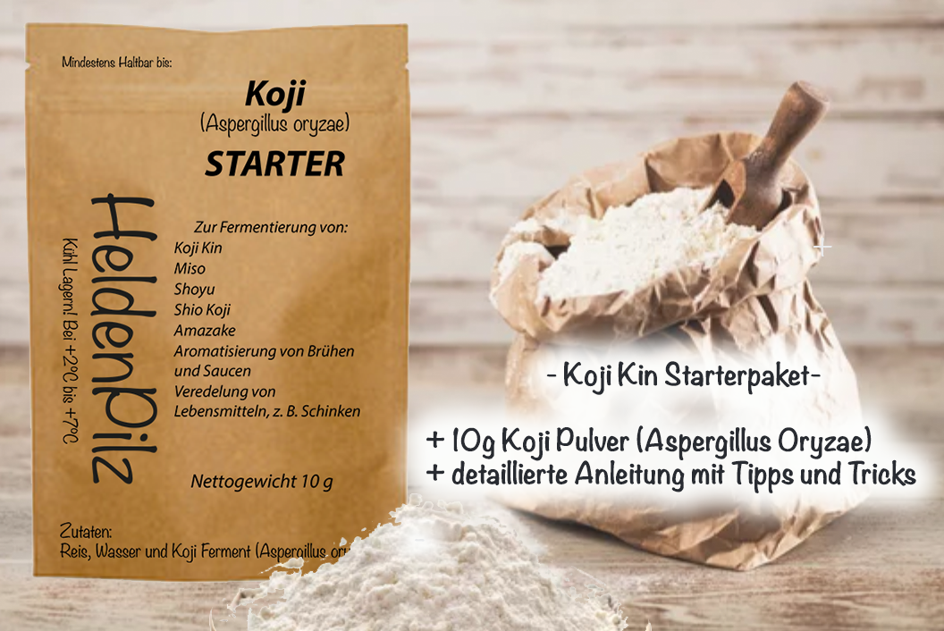 BIO Koji Magic: Aspergillus Oryzae Sporen