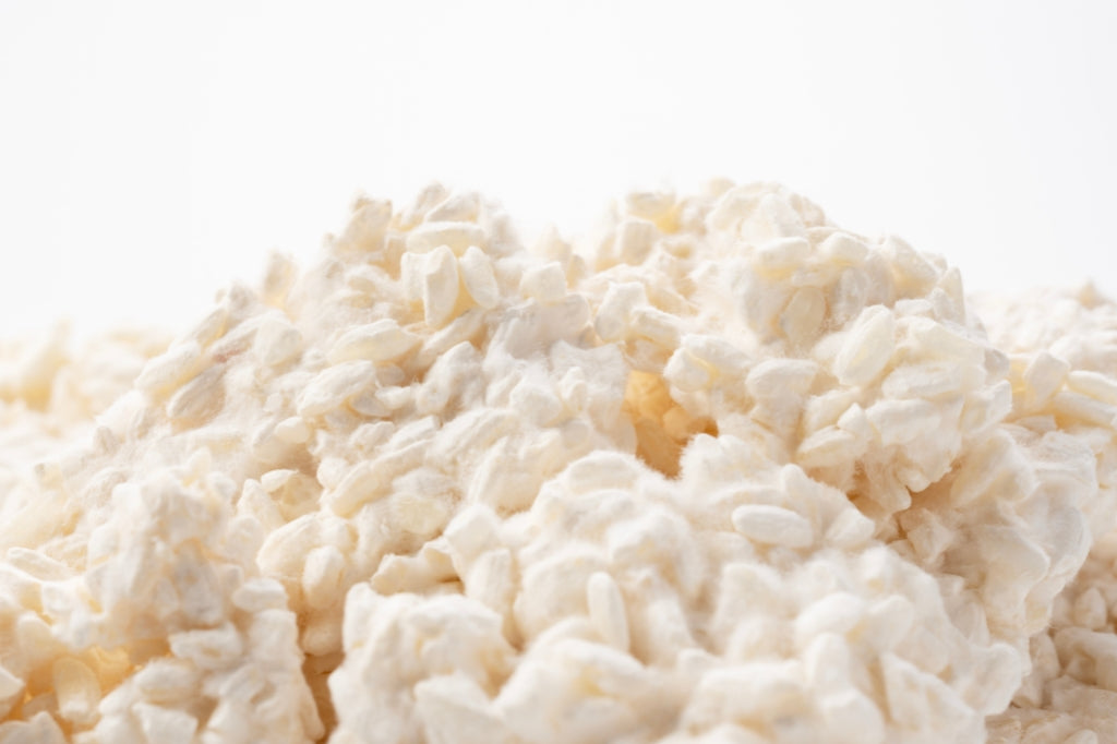 Koji (Wunder)Reis: Startpunkt für Amasake, Shio Koji, Miso, (200g)
