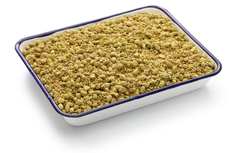 Koji (Wunder)Reis: Startpunkt für Amasake, Shio Koji, Miso, (200g)