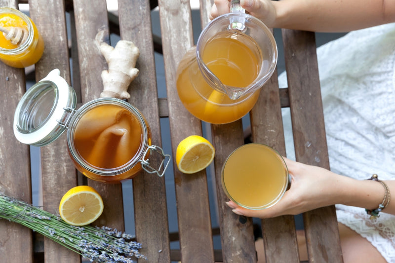 BIO Kombucha-Starterset: Vollausstattung mit Premium Scoby
