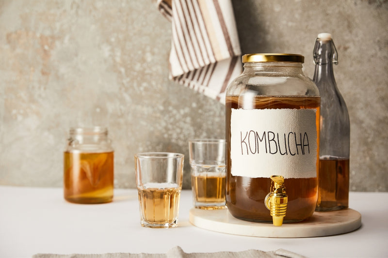 BIO Kombucha-Starterset: Vollausstattung mit Premium Scoby