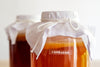 BIO Kombucha-Starterset: Vollausstattung mit Premium Scoby