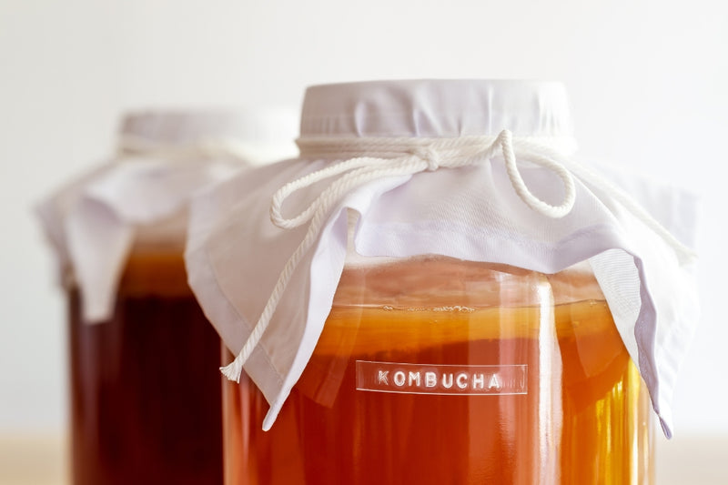 BIO Kombucha-Starterset: Vollausstattung mit Premium Scoby