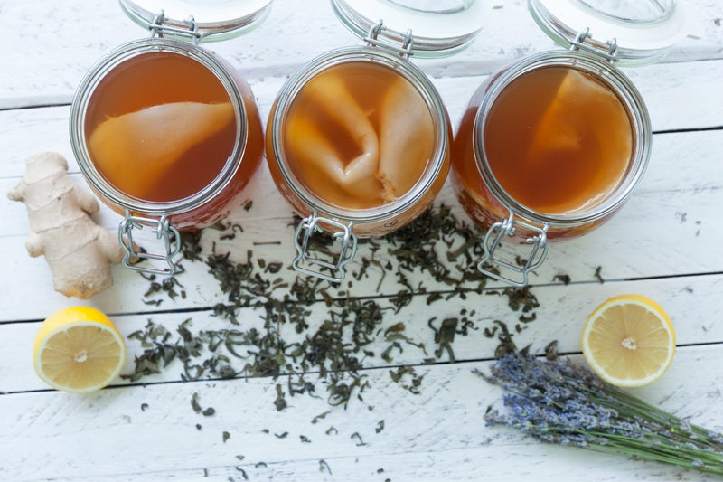 BIO Kombucha-Starterset: Vollausstattung mit Premium Scoby