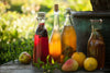 BIO Kombucha-Starterset: Vollausstattung mit Premium Scoby