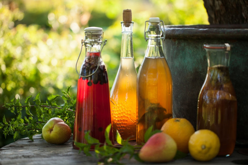 BIO Kombucha-Starterset: Vollausstattung mit Premium Scoby
