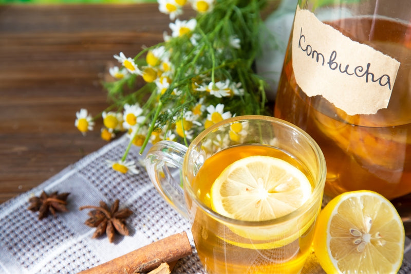 BIO Kombucha-Starterset: Vollausstattung mit Premium Scoby