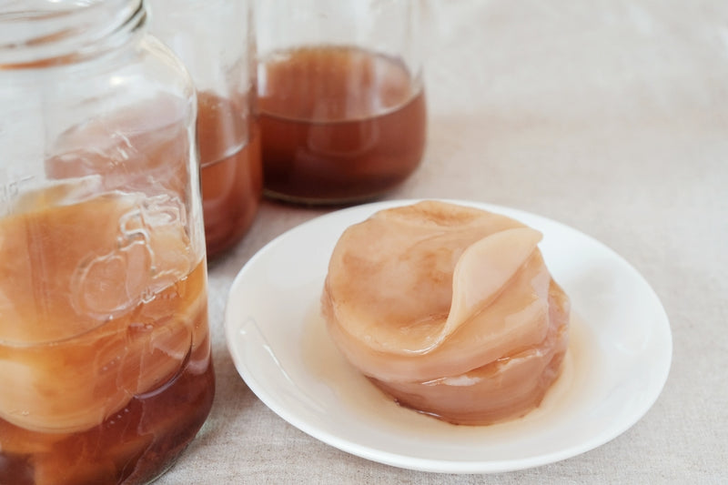 BIO Kombucha-Starterset: Vollausstattung mit Premium Scoby
