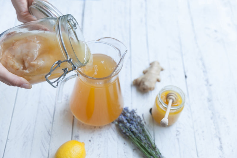 BIO Kombucha-Starterset: Vollausstattung mit Premium Scoby