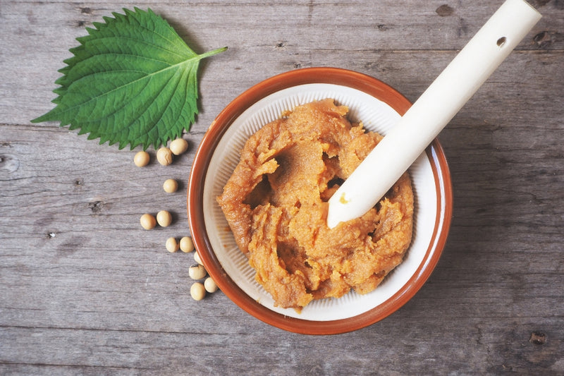 BIO Miso: Die Essenz der Natur