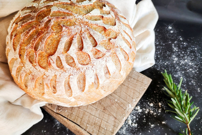 BIO Brotback-Set: Sauerteig-Wunder mit Vollausstattung