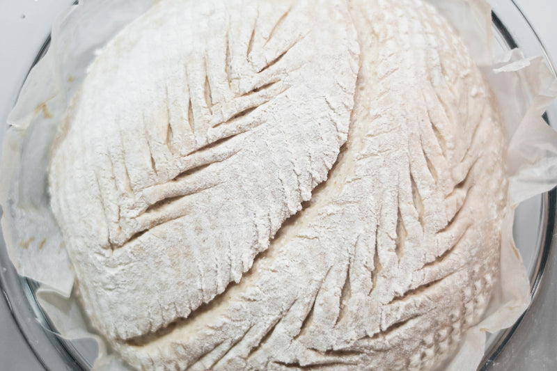 BIO Brotback-Set: Sauerteig-Wunder mit Vollausstattung