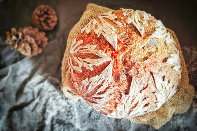 BIO Brotback-Set: Sauerteig-Wunder mit Vollausstattung