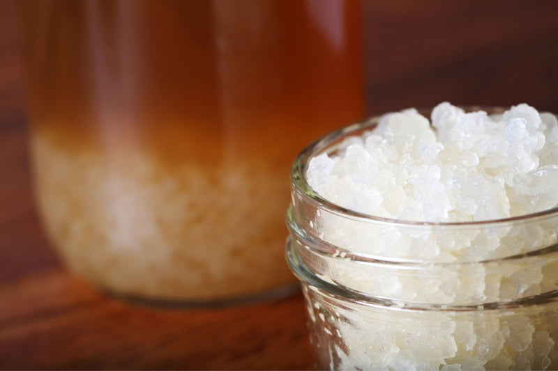 BIO Wasserkefir-Erlebnisset: Kristalle & Komplettzubehör für Einsteiger