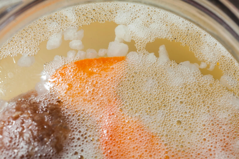 BIO Wasserkefir-Erlebnisset: Kristalle & Komplettzubehör für Einsteiger