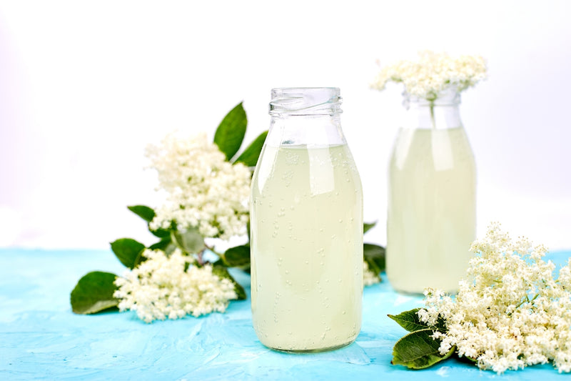 BIO Wasserkefir-Erlebnisset: Kristalle & Komplettzubehör für Einsteiger