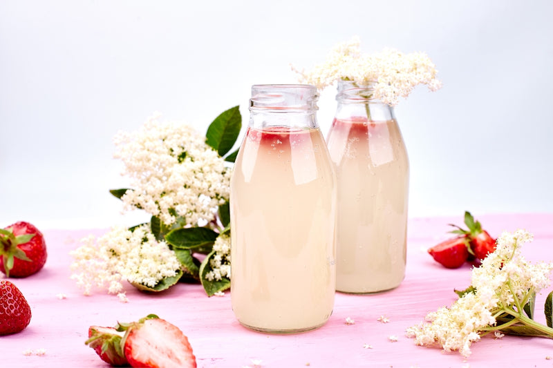BIO Wasserkefir-Erlebnisset: Kristalle & Komplettzubehör für Einsteiger