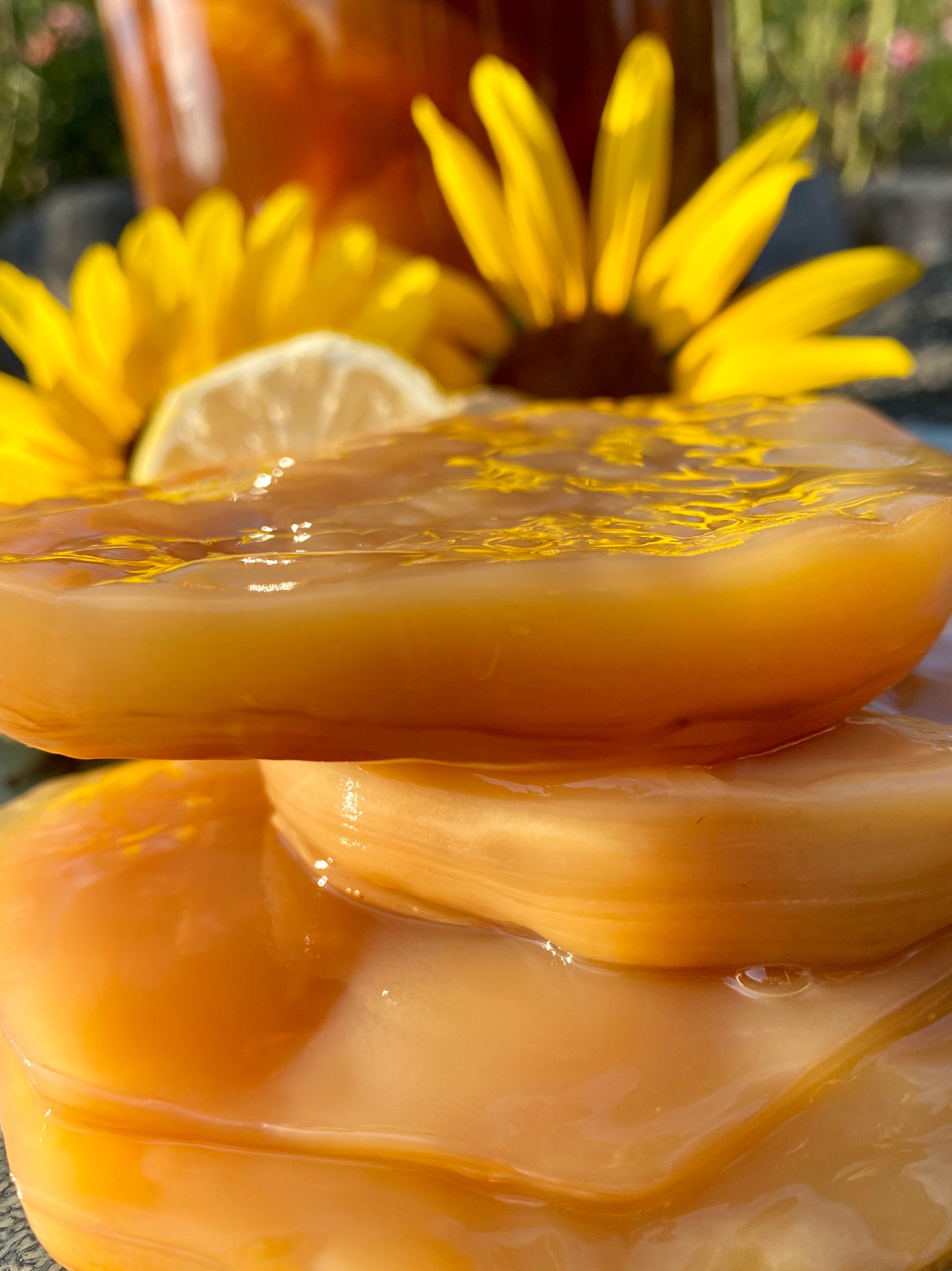 Let´s brew your own Kombucha