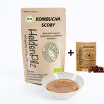 HeldenPilz Kombucha SCOBY