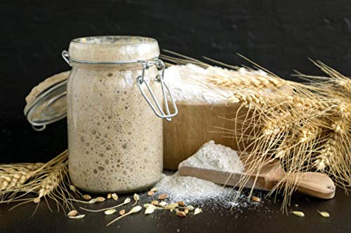 BIO Sauerteig Brotback-Set