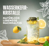 Getrocknete Wasserkefir Japankristalle Nahaufnahme