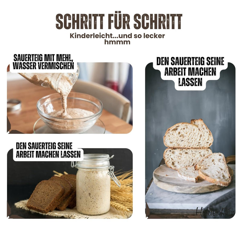 BIO Sauerteig Komplett-Set mit Gärglas